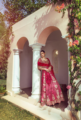 Calista Vibrant Red Lehenga set