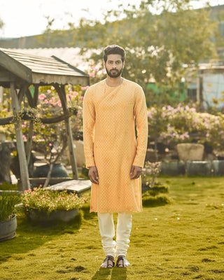 Calista  Mustard Bandgala