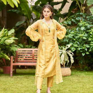 Liora Mustard Organza suit set