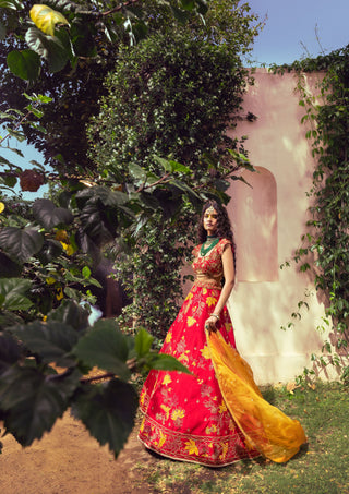 Liora Vibrant Red Lehenga