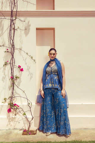Enchanting Blue Sharara Set