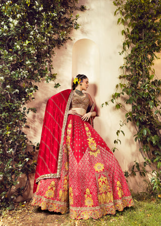 Aureya Vibrant Red and Mustard Yellow Lehenga