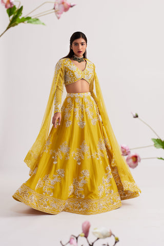 Elara Mustard Yellow Lehenga set