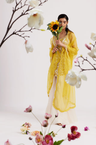 Elara Ivory and Mustard Sharara Set