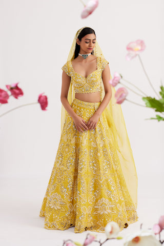 Aureya Mustard Yellow Lehenga set