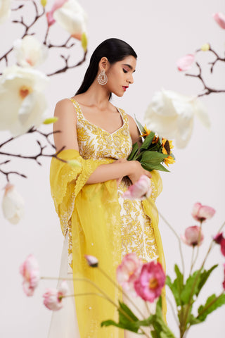 Elara Ivory and Mustard Sharara Set