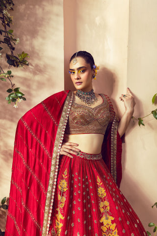 Aureya Vibrant Red and Mustard Yellow Lehenga