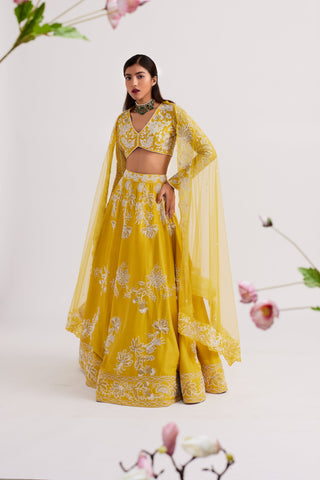 Elara Mustard Yellow Lehenga set