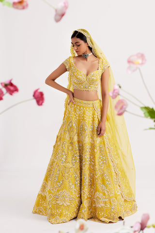 Aureya Mustard Yellow Lehenga set