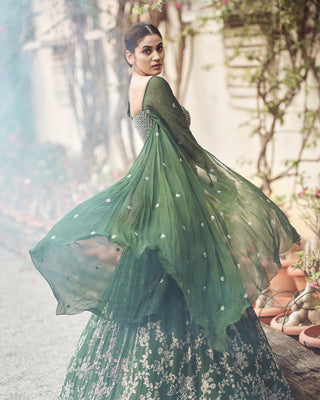 Gulmohar Forest Organza Lehenga Set