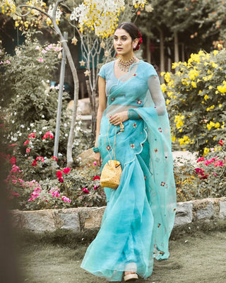 Elara Sky Blue Saree Set