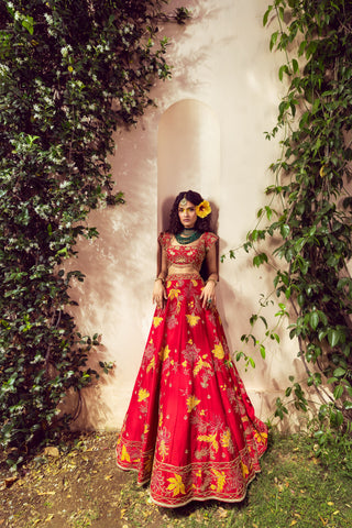 Liora Vibrant Red Lehenga