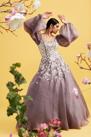 Nargis Ask Grey Organza Gown