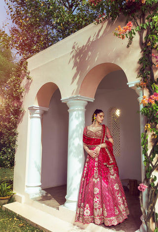 Calista Vibrant Red Lehenga set