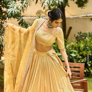 Gulmohar Mustard Lehenga Set