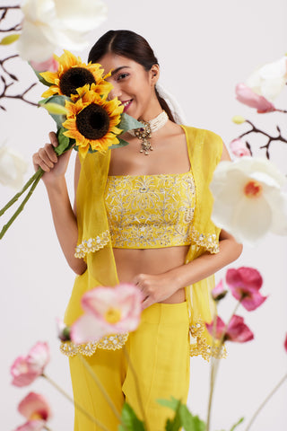 Calista Mustard Yellow Sharara set