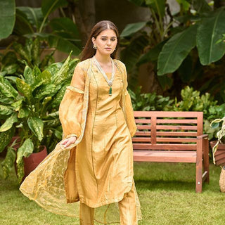 Liora Mustard Organza suit set