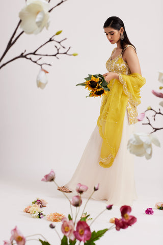 Elara Ivory and Mustard Sharara Set