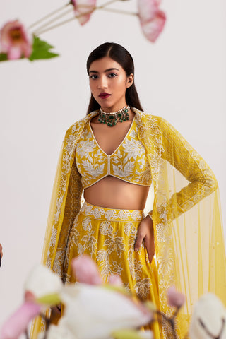 Elara Mustard Yellow Lehenga set