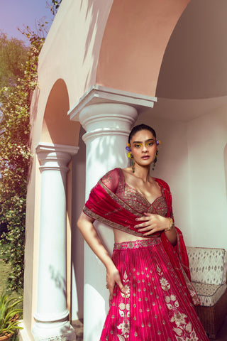 Calista Vibrant Red Lehenga set