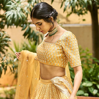 Gulmohar Mustard Lehenga Set