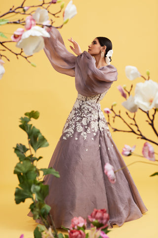 Nargis Ask Grey Organza Gown