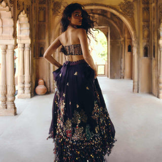 Twilight Grace Lehenga set