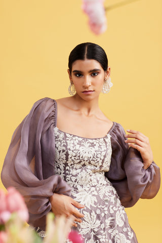 Nargis Ask Grey Organza Gown