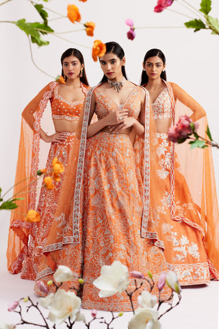 Calista Tangerine Lehenga set