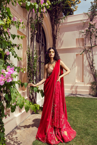 Aureya Pre-draped Vibrant Red Saree