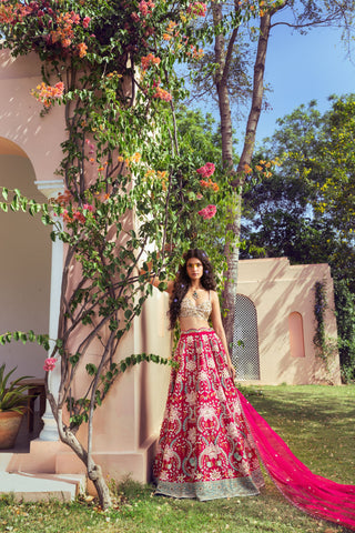 Liora Fierce Pink Lehenga set