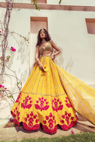 Aureya Mustard Yellow with Red Detailing Lehenga Set